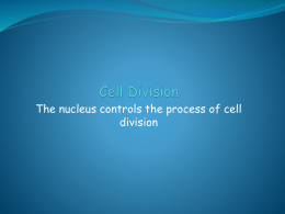 Cell Division - Kelso High School