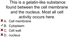 This is a gelatin-like substance found between the cell membrane