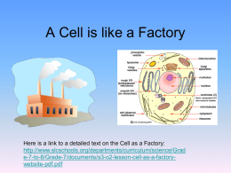 A Cell is like a Factory - Sterlingmontessoriscience
