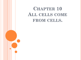 9.1 All cells come from cells.