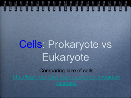 Cells: Prokaryote vs Eukaryote