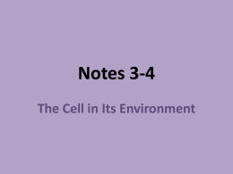 Notes 3-4