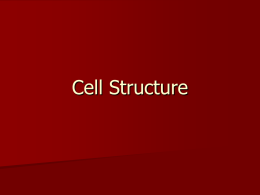 Cell Structure Ch.7
