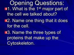 The Three Major Parts of the Cell