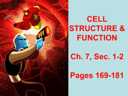 CELL STRUCTURE & FUNCTION Ch. 7, Sec. 1-2 Pages 169-181