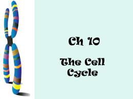 ch 10 Cell Cycle