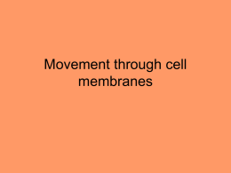 Movement through cell membranes