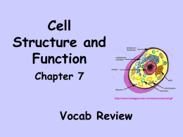 Cell Parts Vocab ONLY - local.brookings.k12.sd.us