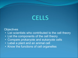 cells come from other cells