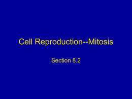 Cell Reproduction-