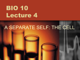 Lecture 4: A Seperate Self: The Cell