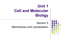 Section 5 – Membranes and cytoskeleton
