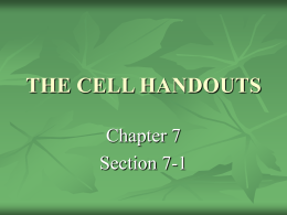 the cell handouts