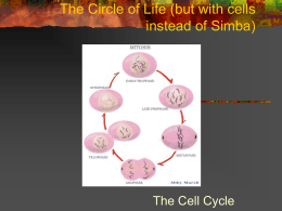 The Circle of Life (but with cells instead of Simba)