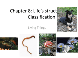 Chapter 8: Life`s structure and Classification