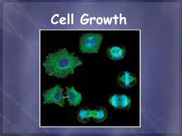 Cell Growth Power Point