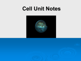 Notes for Cell Organelles