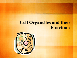 Cell Organelles and their Functions