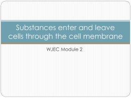 Substances enter and leave cells through the cell membrane