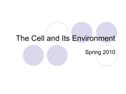 The Cell and Its Environment POWER POINT