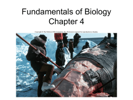 Fundamentals of Biology Chapter 4
