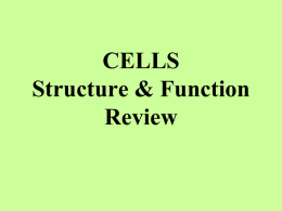Cell Structure & Function Review