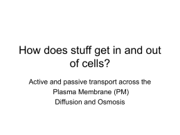How does stuff get in and out of cells?