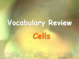 Vocabulary Review - Biology Junction
