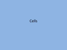 Cells and cell structure