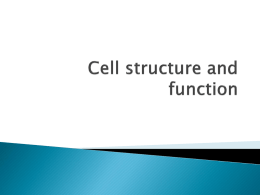 Cell structure and function