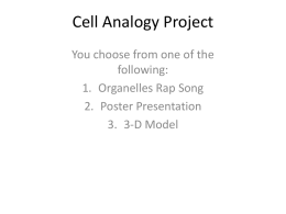 Follow these steps to make the best cell analogy ever!