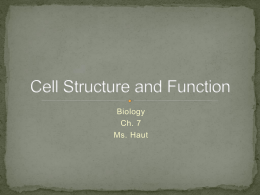 Ch. 7 Cell Structure and Function