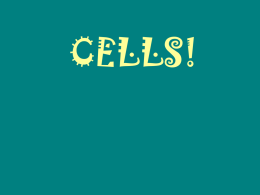 What are cells? - Duplin County Schools