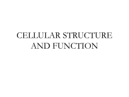CELLULAR STURCTURE AND FUNCTION