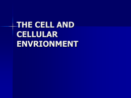 the cell and cellular envrionment
