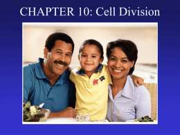 Chapter 10 Cell Division