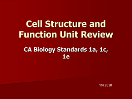Cell Structure and Function Unit Review