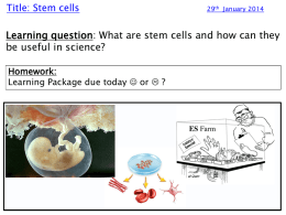 6. Stem cells