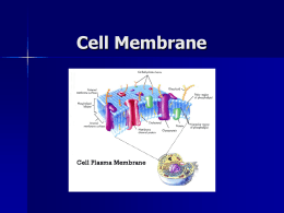 Cell Membrane - Campbell County Schools