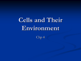 Cells and Their Environment
