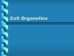 Cell Organelles - Mayfield City Schools