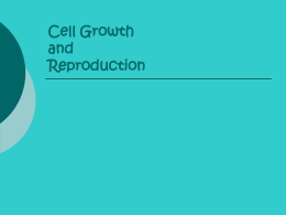 Cell Growth and Reproduction