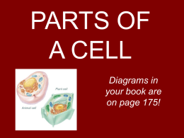 PARTS OF A CELL