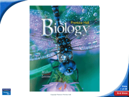 7-2 Eukaryotic Cell Structure