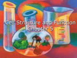 Chapter 5- Cell Structure and Function