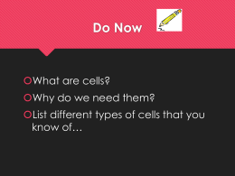 Ch. 7 - Cells