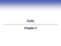 Biology 120 Chapter 3 Cells
