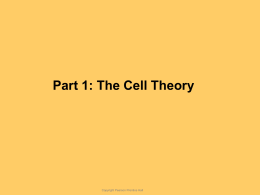 Cell Theory and Organelles