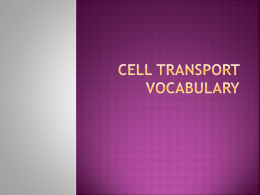 Cell Transport Vocabulary