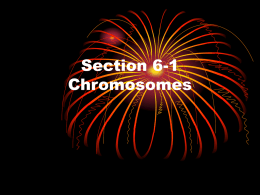 Section 6-1 Chromosomes